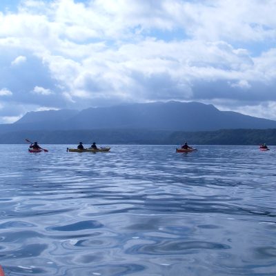 a group of people swimming in a body of water