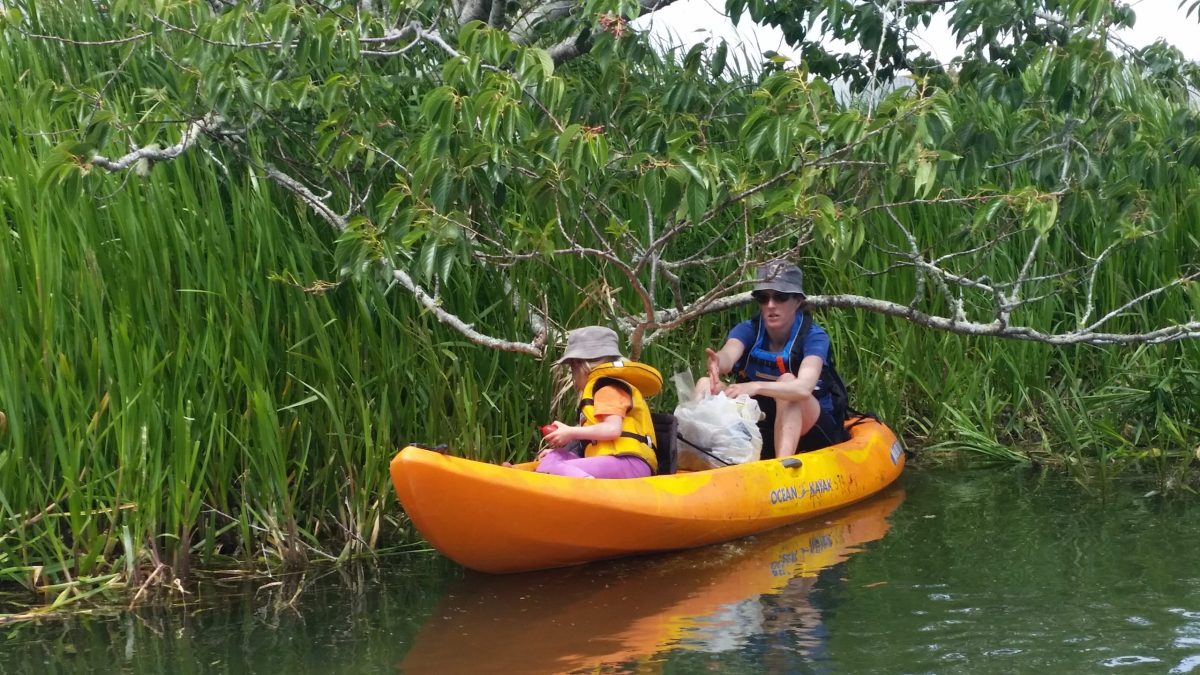 New Ohau Channel Cleanup image