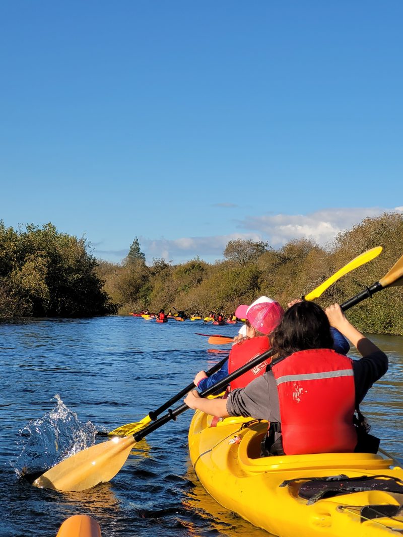 Person in a red life jacket kayaking on a calm river with trees and a blue sky.